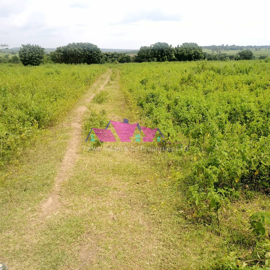 210 acres of farm land at near Ijaye at alabede village Moniya Ibadan
