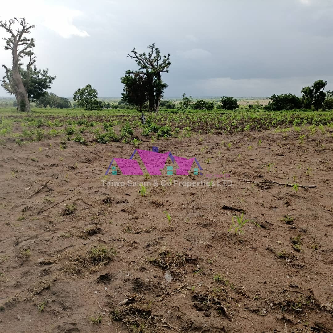 2 acres of farm land at Oduru village near Elekuru off moniya/ijaye road moniya ibadan