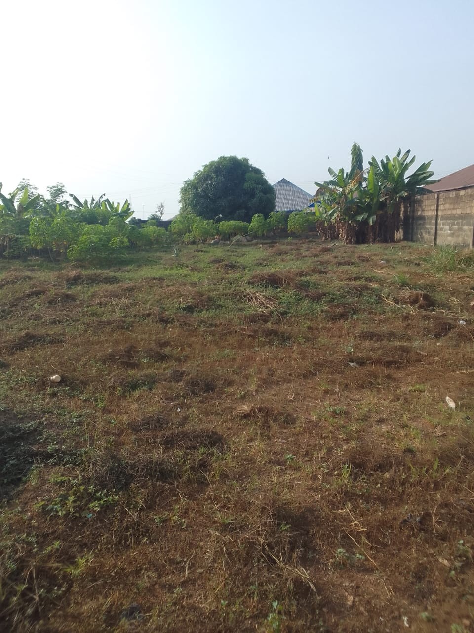2 plots of commercial land