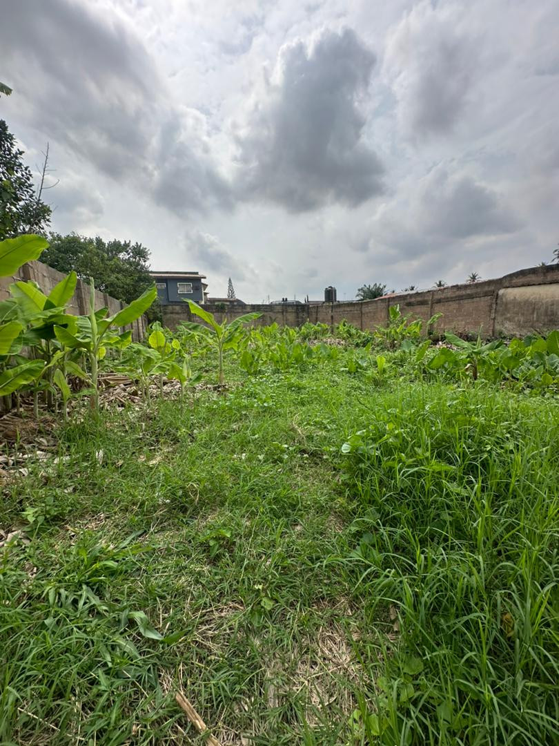 591sqm of Residential Land