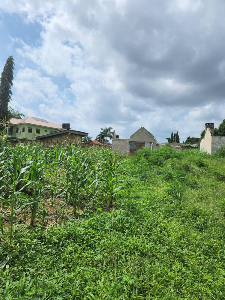 1 Acre of Residential Land