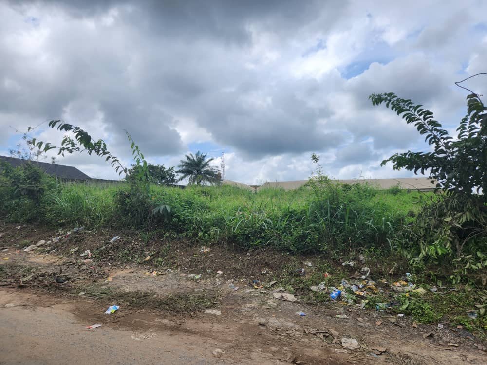 1 Acre Of Industrial Land With 2 Plots