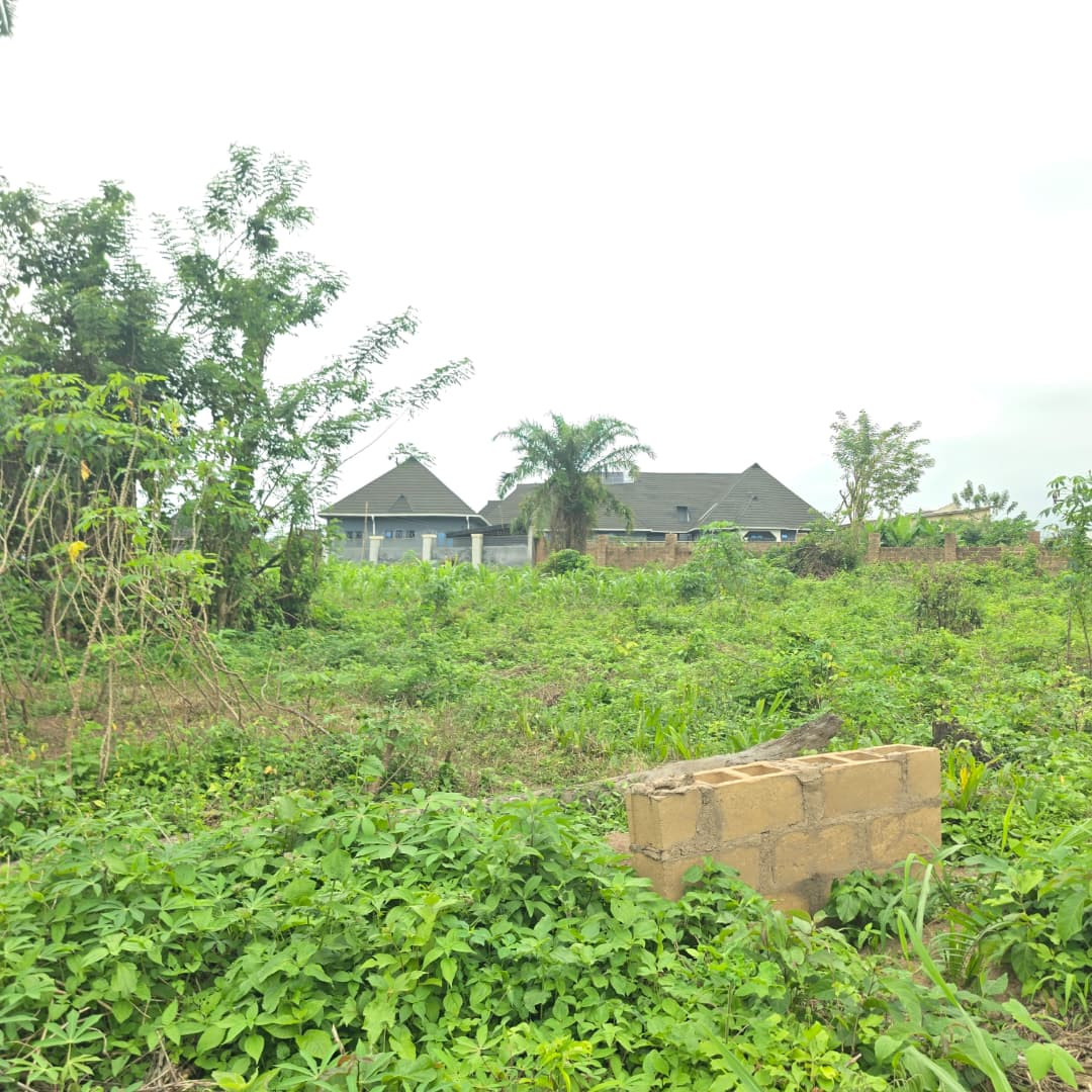 1 Acre of Land