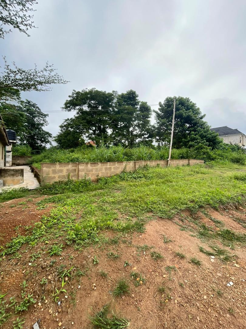 1,441SQM Land